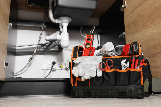 Best Local Plumber Services  in Solon, IA