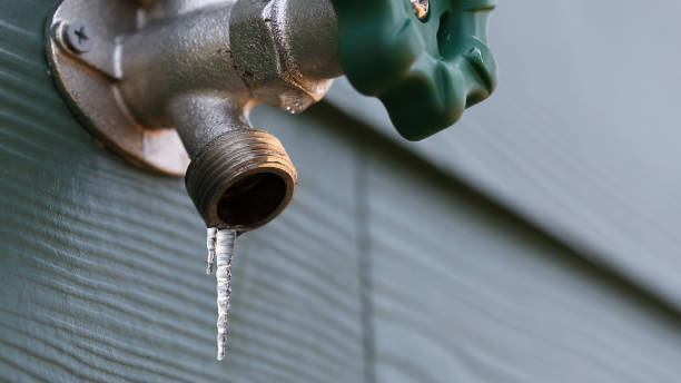 Best Shower Repair Services  in Solon, IA